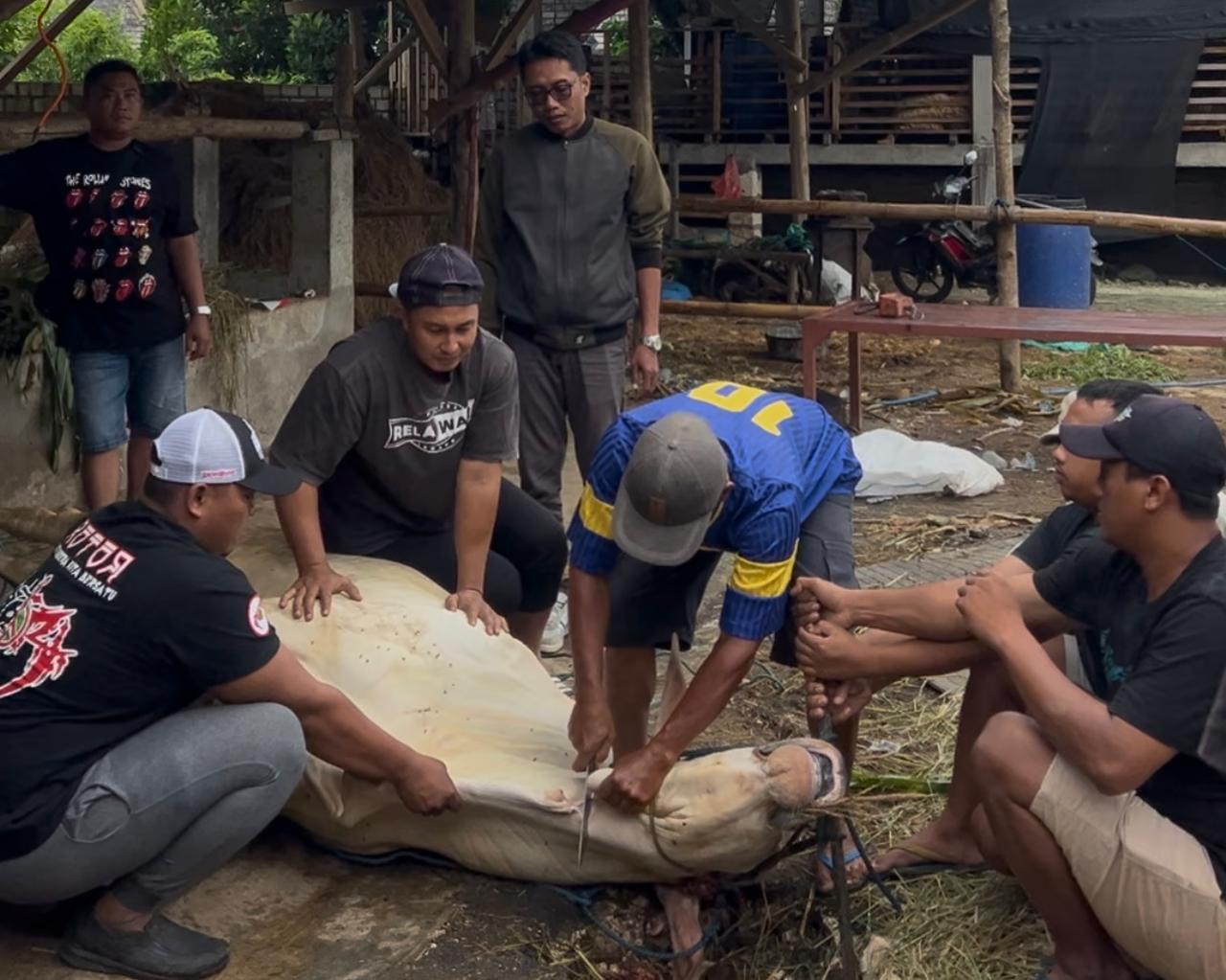 Pemuda Lowayu (ROTOR) Terima Hewan Qurban dari Bapak Jiddan dan Bapak Adi Sucipto (Manyung)