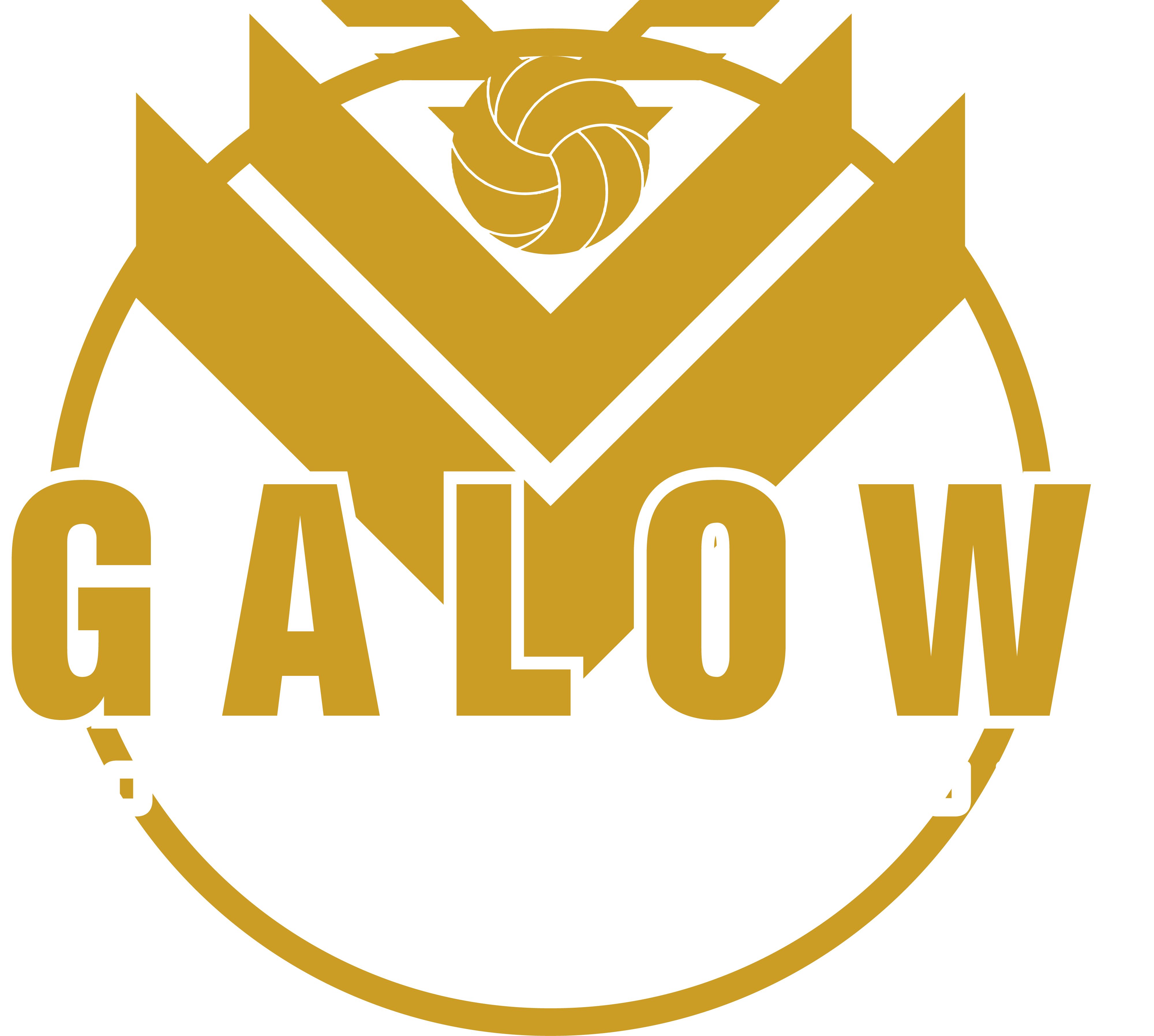 Volly Ball Club